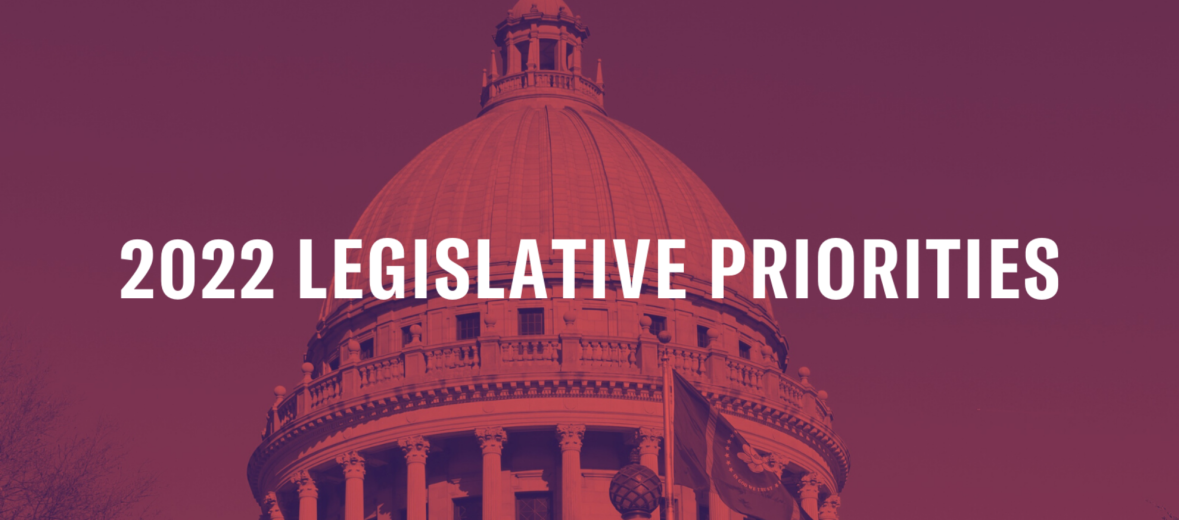 2022 Legislative Priorities | ACLU Of Mississippi